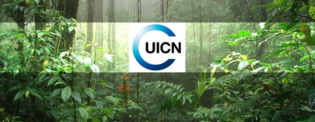 Pronatura Sur  miembro pleno de la IUCN de la región de México, América Central y el Caribe.